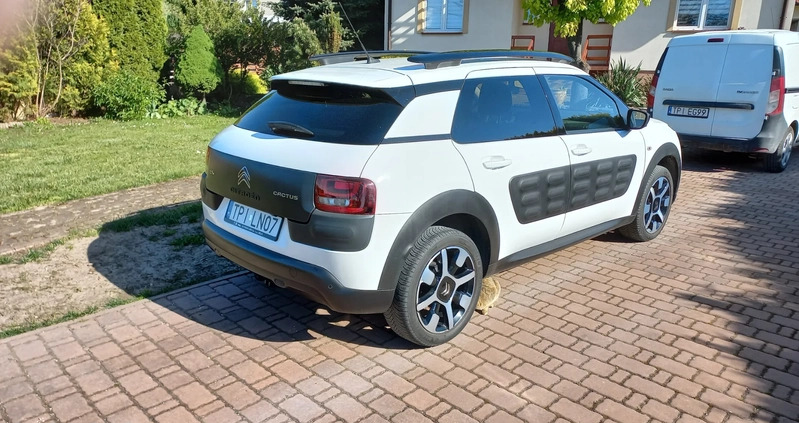 Citroen C4 Cactus cena 43000 przebieg: 45300, rok produkcji 2017 z Tuczno małe 254